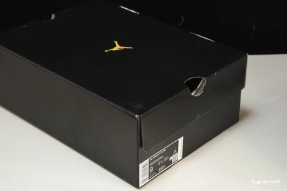 Hyperoad (2022) Retro Jordan Ginger Light 14 1207